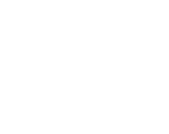 main_bg_item_1